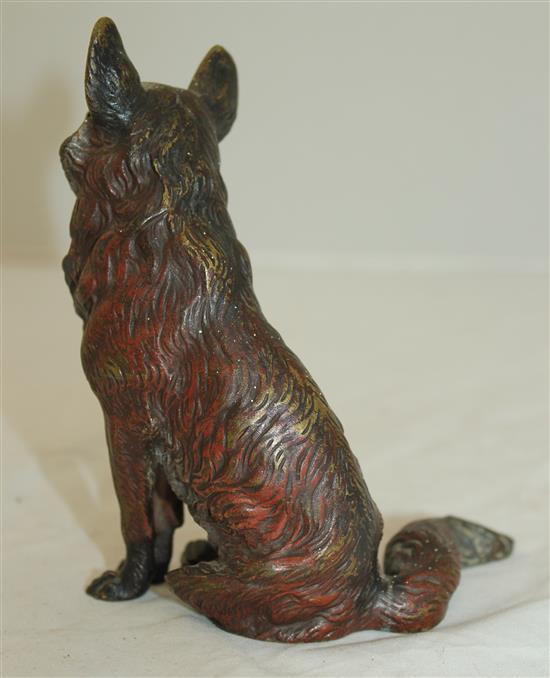 An Austrian cold painted bronze model of a seated fox, 5.25in.